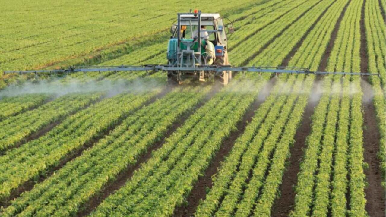 cultivation