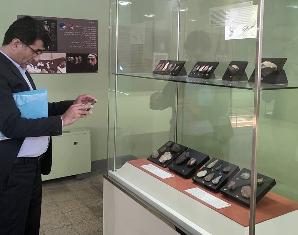 Stone tools discovered in northern region of Persian Gulf