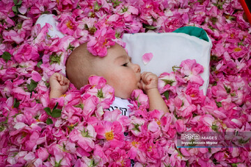 Gol-Ghaltan: a festival to soak up babies with petals
