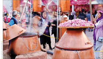 Rosewater festival: a celebration of tradition and culture underway in Tehran