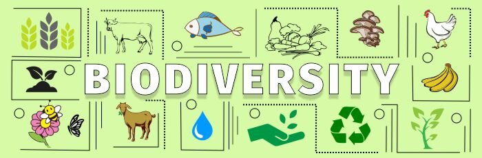 Loss of biodiversity – a hidden threat to food security and habitat