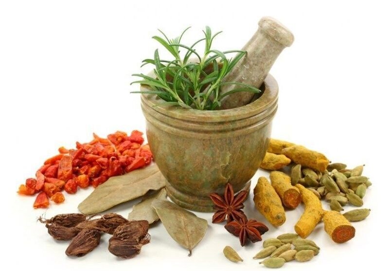 Some 500 Persian medicine experts working nationwide
