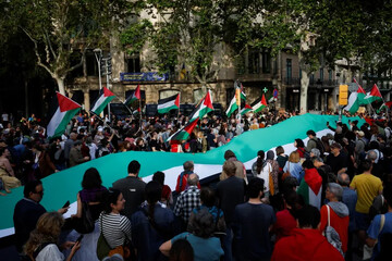Palestine demos
