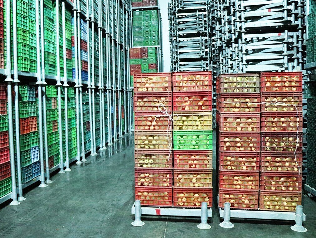 Agrofood exports increase 28% in two months yr/yr