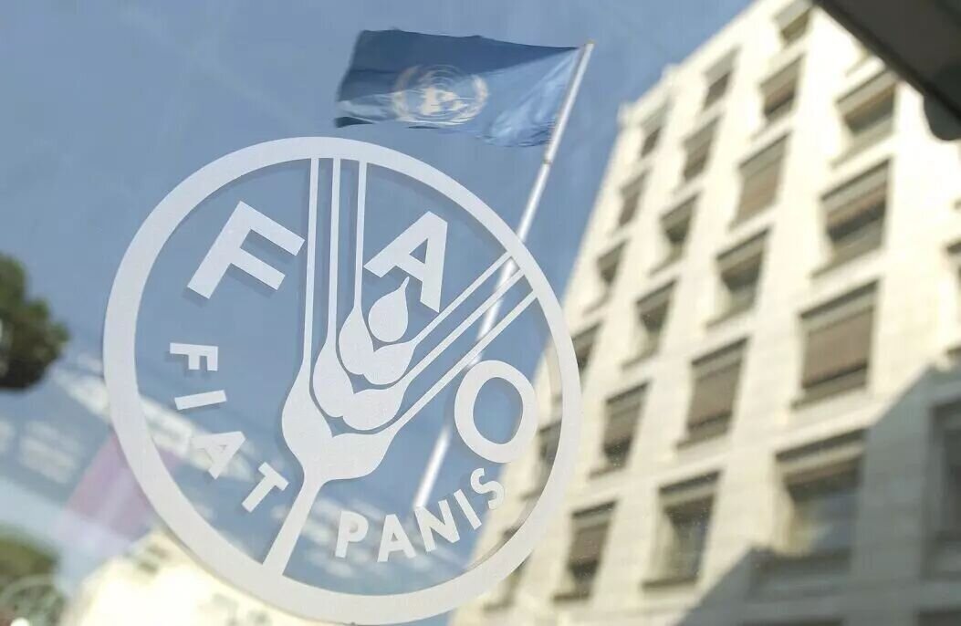 fao