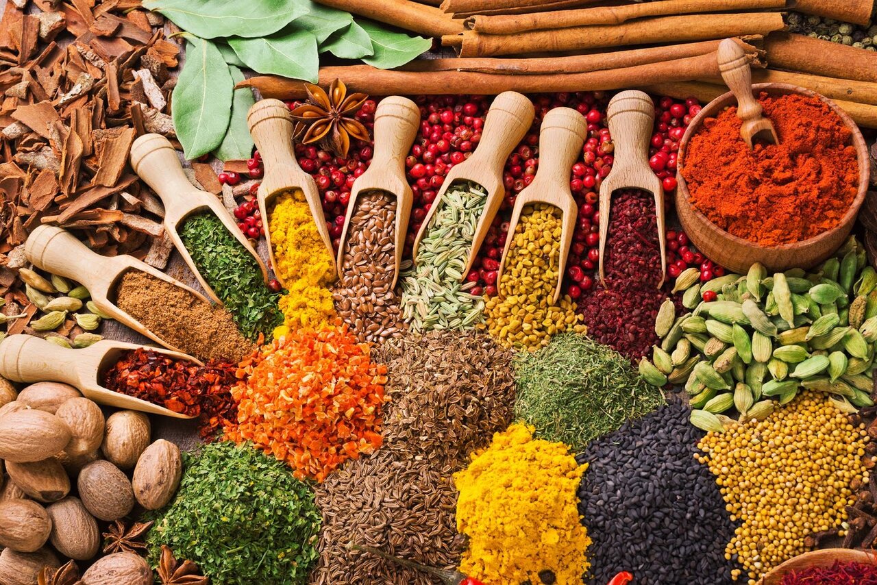The Spice Route revival: a new chapter in Iran-India relations