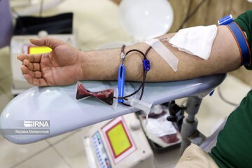 Blood donation rises by 12%