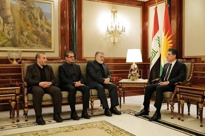 Iran, Iraqi Kurdistan see surge in medical tourism