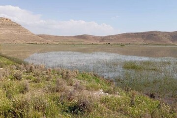 Wetland being restored after 25 years