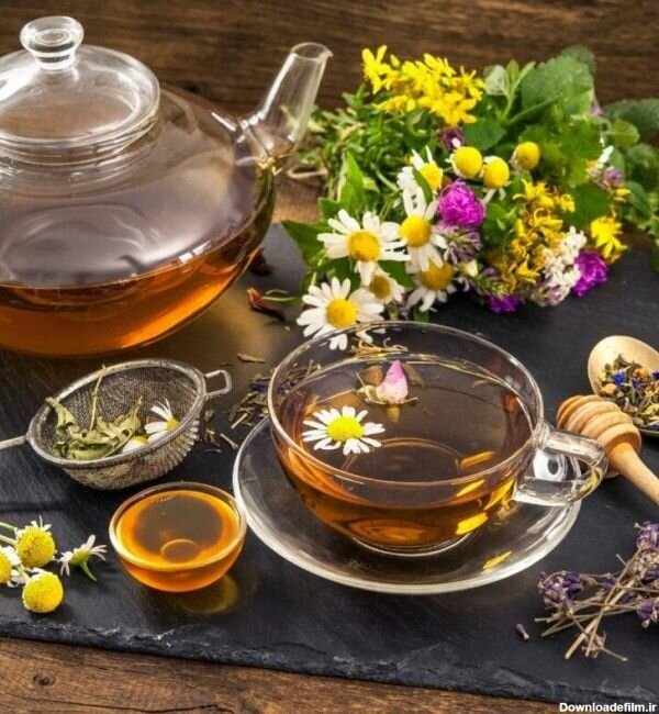 Persian Medicine Festival slated for Jan.-Feb. 2025