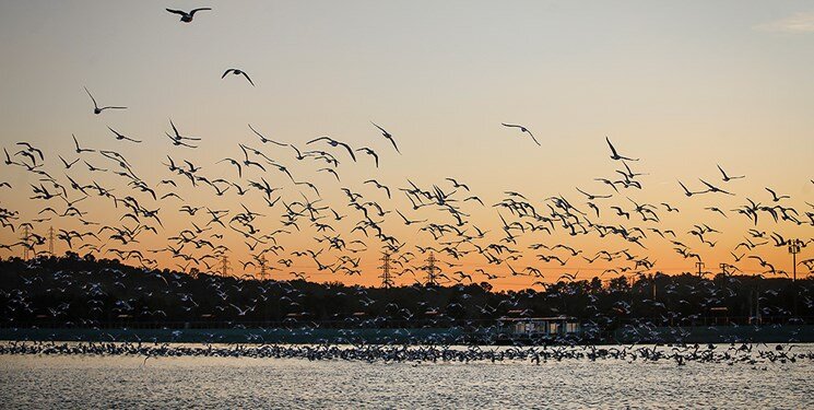 Hengam Island: a must-visit of the Persian Gulf