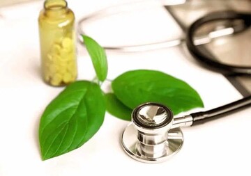 Workshop held to promote Persian medicine in healthcare system