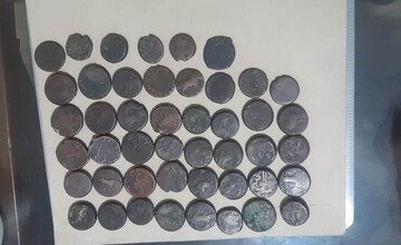 Qajar-era coins recovered in Delfan