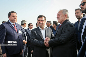 Syrian PM Hussein Arnous shaking hand with Iran's environment chief