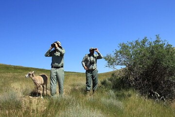 A day to appreciate brave rangers