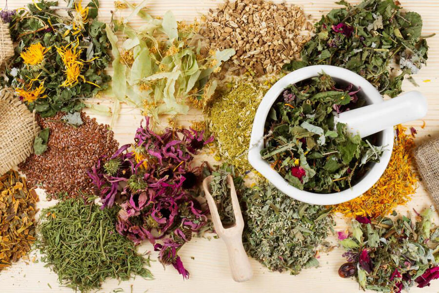 medicinal plant