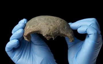 9,000-year-old skull returns home after 80 years