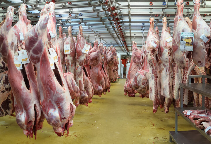 Nearly 32,000 tons of red meat supplied in a month