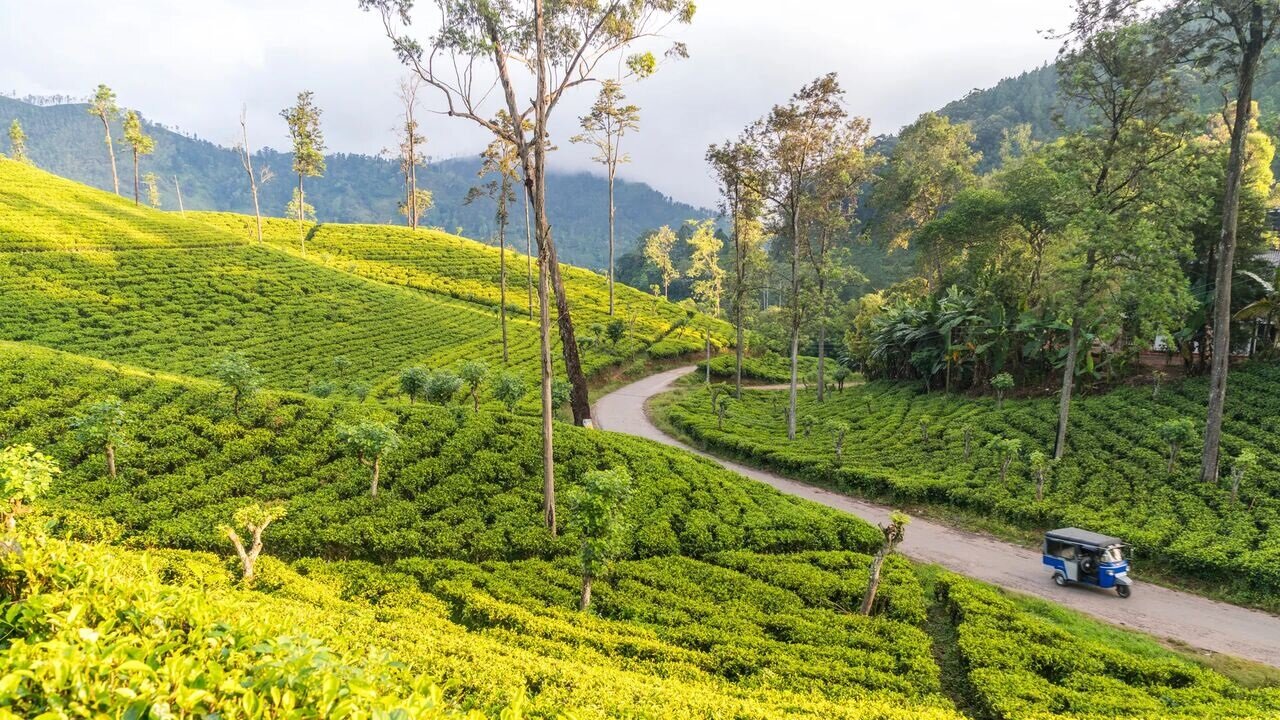 Sri Lanka offers free 30-day visas to tourists from Iran and over 30 other countries
