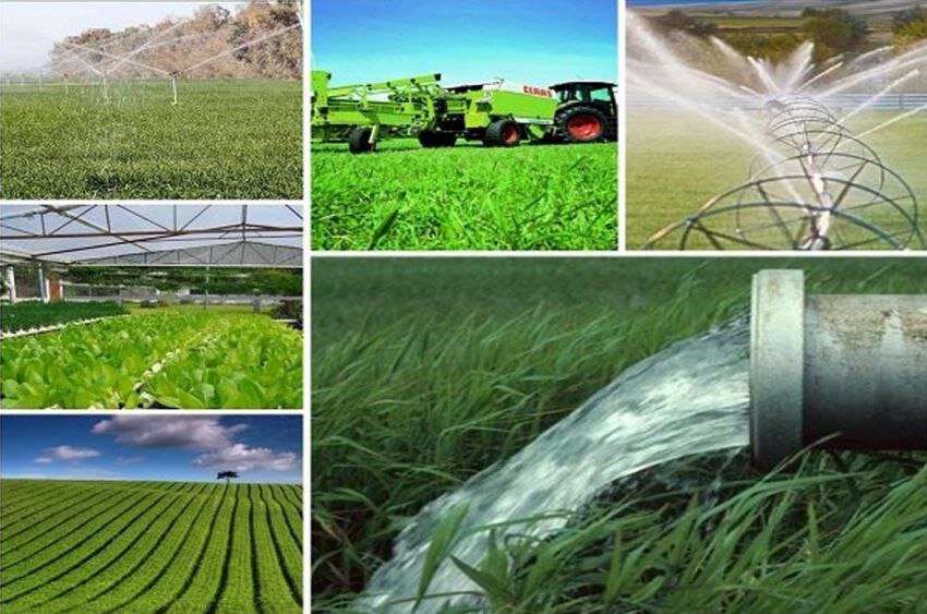 Rural cooperatives to inaugurate some 80 projects in government week