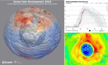 WMO: ozone layer on the road to recovery