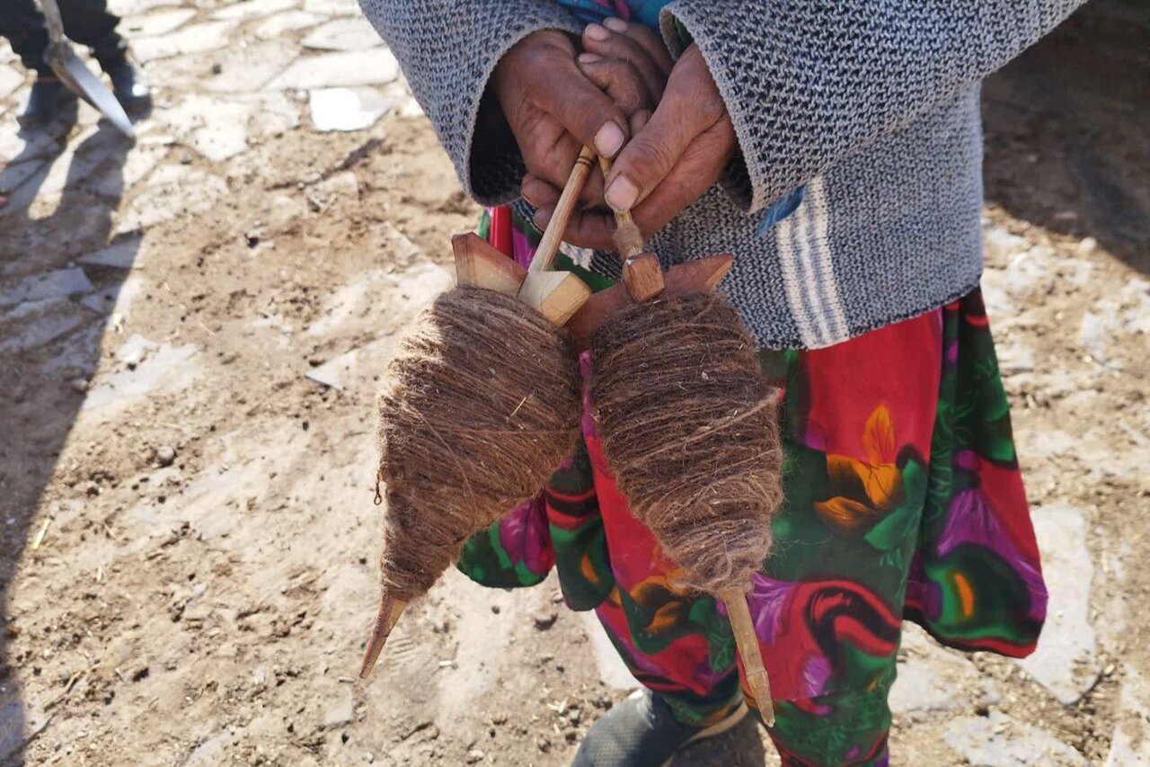 The revival of Bactrian camels invigorates livelihoods in Iran