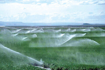 irrigation