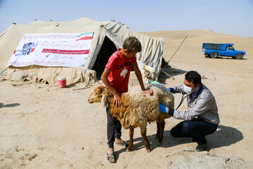 Volunteers conduct livestock vaccination