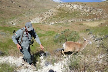 Ranger Day registered on national calendar