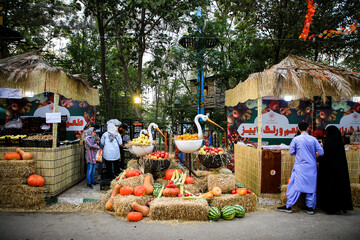 “Flavor and color of fall” on display