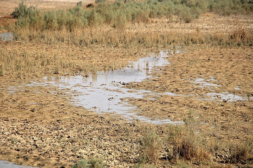 Water scarcity haunting Hour al-Azim