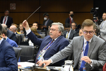 Ulyanov at the IAEA