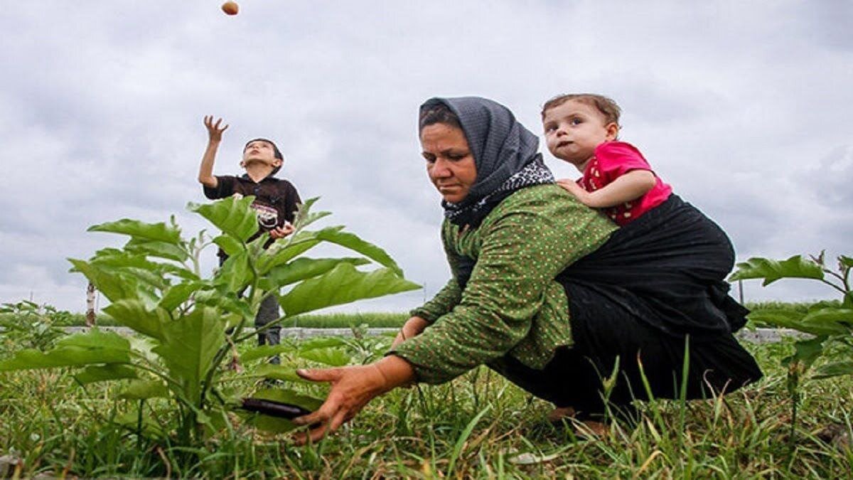 All rural women heads of household under coverage of insurance