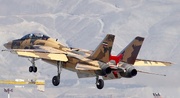 Iran has successfully reverse-engineered F-14 fighters