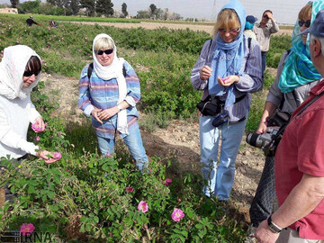 Three agritourism farms to open in Toyserkan by year-end