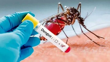 More than 940 cases of dengue fever reported