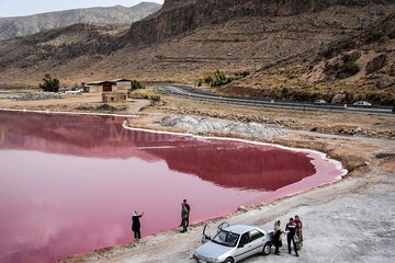 Discover the enchanting Maharloo Lake: a pink paradise