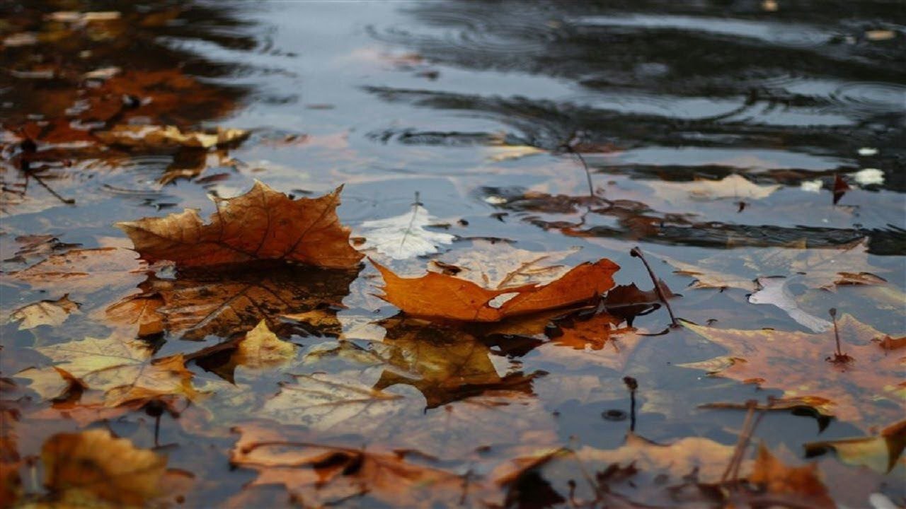 Warmer temperature, lower rainfall forecasted