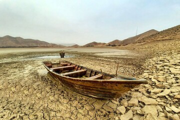 Over 40% of wetland area exposed to drying up: DOE chief