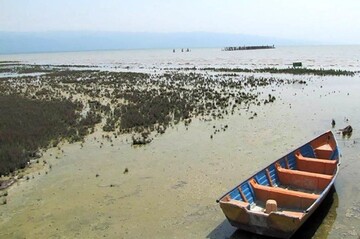 Plan to restore Gorgan Bay, Miankaleh Wetland needed: official