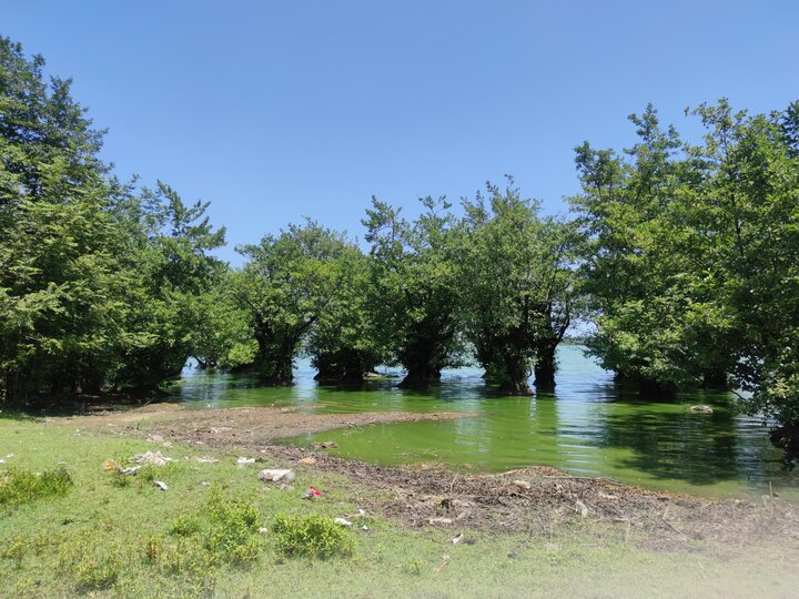 Estil Wetland: a destination for nature enthusiasts