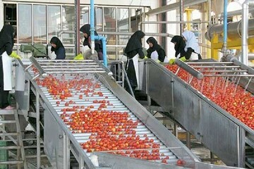 Iran invests $360m in agricultural industries, mechanization