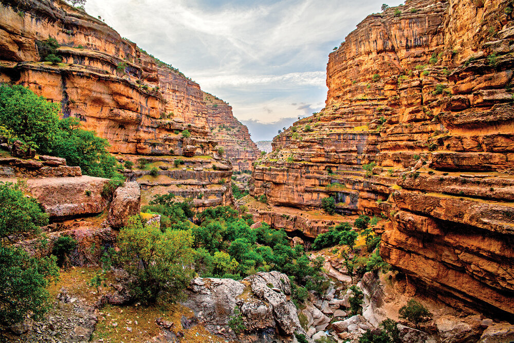 MP calls for global registration of Shirez Canyon