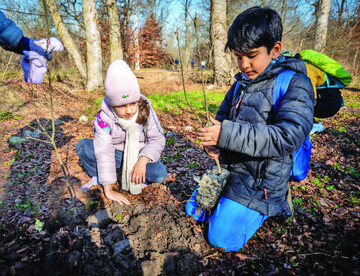 Children planting Hyrcanian saplings