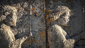 Lichens on Iran’s ancient structures unrelated to pollution, expert confirms