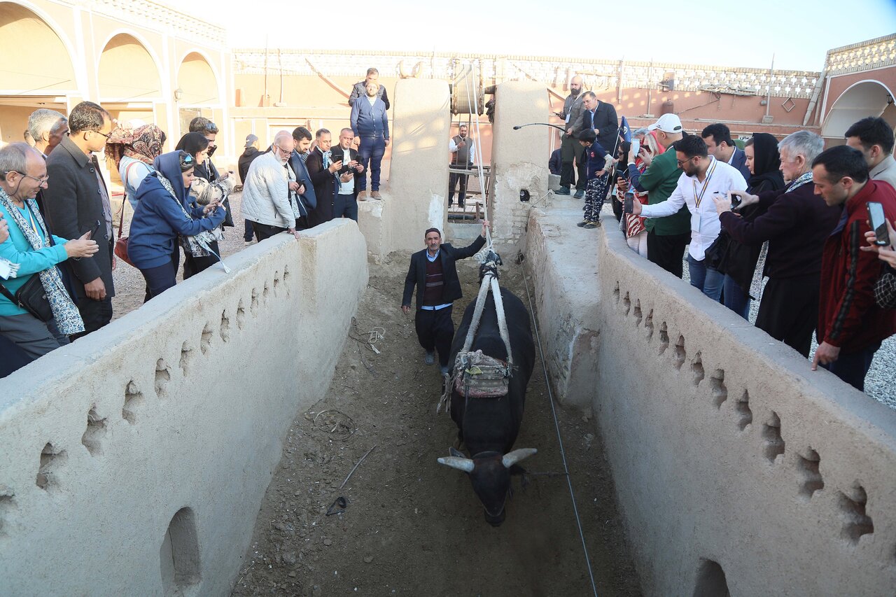 Day three: foreign tour operators experience the majesty of Varzaneh Desert