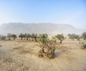 Tehran hosts national conference on conservation of natural resources