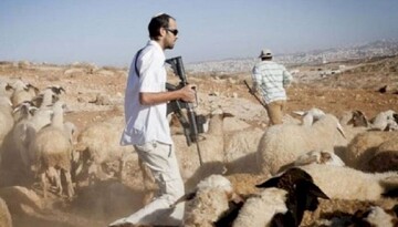 Armed shepherds: Israel’s most dangerous project in the West Bank