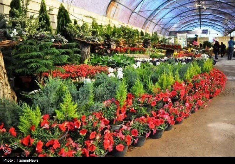 greenhouse