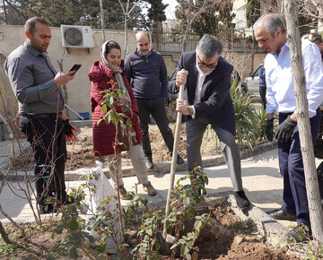 WHO Iran plants trees to highlight critical need for environmental protection